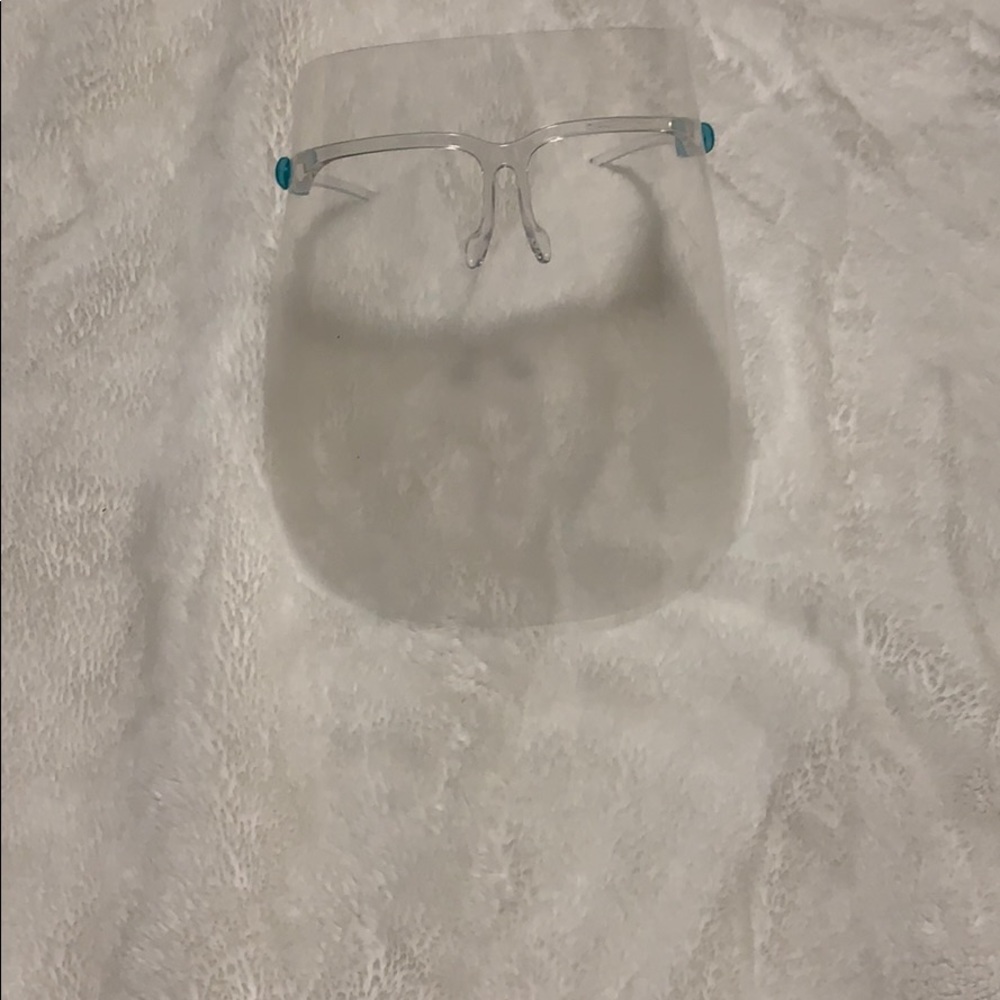 Face Shield